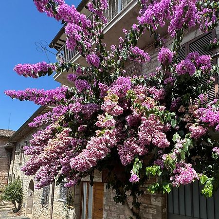 La Bouganville Assisi Buitenkant foto