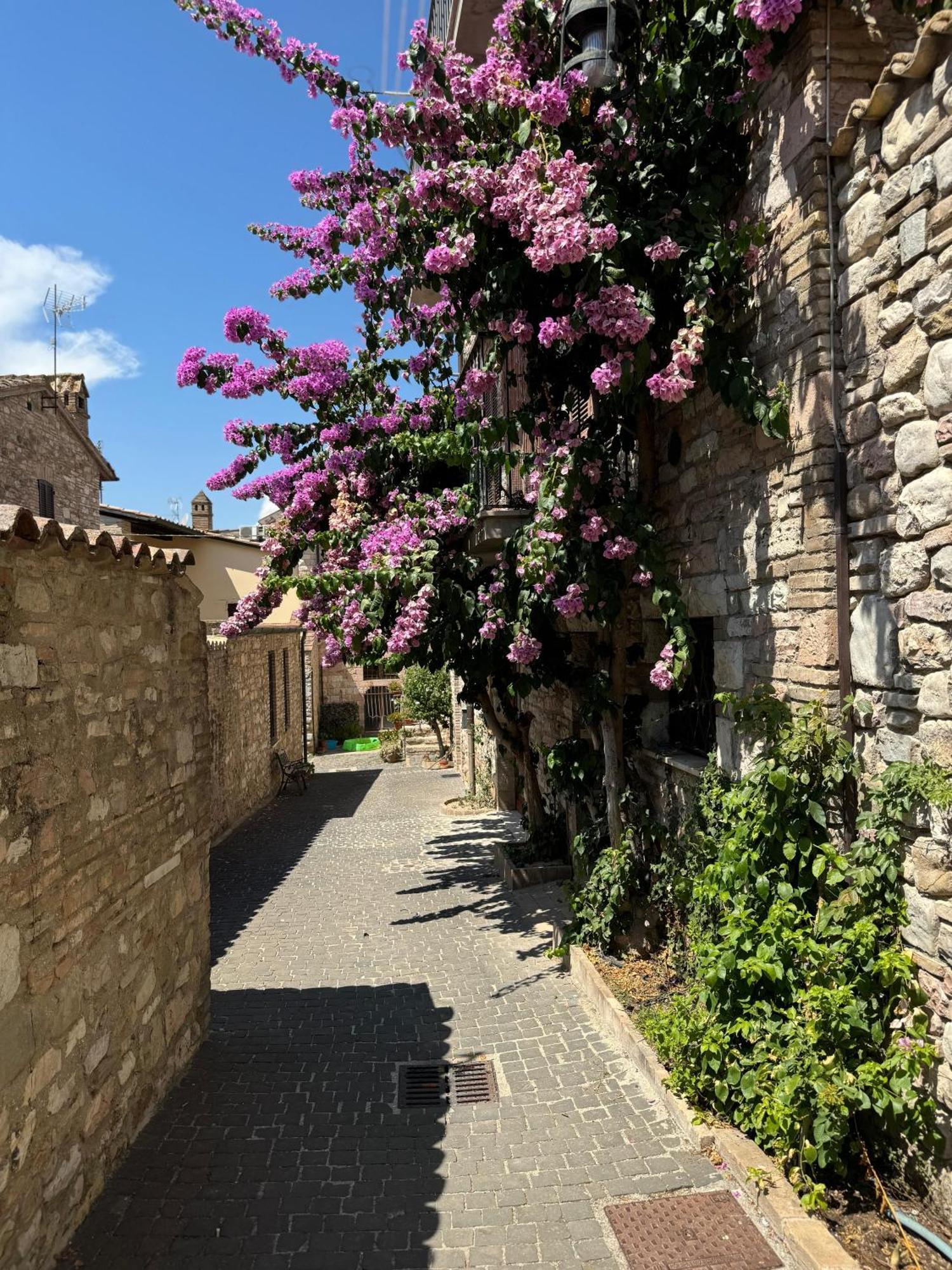 La Bouganville Assisi Buitenkant foto